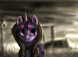 Size: 1358x999 | Tagged: safe, artist:not-ordinary-pony, twilight sparkle, twilight sparkle (alicorn), alicorn, pony, cheek fluff, chernobyl, clothes, crossover, ear fluff, hood, ionizing radiation warning symbol, looking back, s.t.a.l.k.e.r., smiling, solo