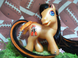 Size: 570x428 | Tagged: safe, artist:wendypony, g3, american football, college, custom, irl, ncaa, photo, sports, toy