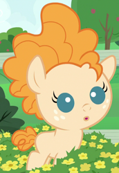 Size: 580x845 | Tagged: safe, screencap, pear butter, pony, the perfect pear, baby, baby pony, cropped, foal, solo