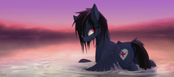 Size: 5400x2402 | Tagged: safe, artist:fenixdust, oc, oc only, oc:elixir, pegasus, pony, dusk, female, lake, looking back, mare, scar, smiling, solo, wading, water