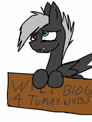 Size: 800x1066 | Tagged: safe, artist:loki-bagel, oc, oc only, oc:lokibagel, pegasus, pony, male, sign, will x for y