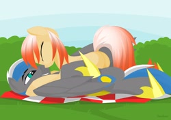 Size: 2048x1440 | Tagged: safe, artist:hoverrover, oc, oc only, oc:cloud zapper, oc:milky chocoberry, earth pony, pegasus, pony, armor, cuddling, dock, eyes closed, female, hooves, lineless, lying down, male, mare, milkyzapper, picnic blanket, plot, royal guard, shipping, smiling, snuggling, stallion, straight, teeth, wings