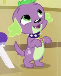 Size: 360x446 | Tagged: safe, screencap, spike, spike the regular dog, dog, pony, dance magic, equestria girls, spoiler:eqg specials, bipedal, cropped, male, paws, puppy, smiling, solo