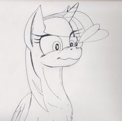 Size: 1672x1659 | Tagged: safe, artist:scribblepwn3, twilight sparkle, twilight sparkle (alicorn), alicorn, parasprite, pony, chest fluff, monochrome, nose wrinkle, pen drawing, scrunchy face, solo, traditional art, wavy mouth