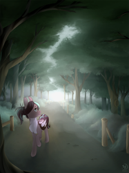 Size: 899x1200 | Tagged: safe, artist:brownie97, oc, oc only, oc:cocoa dot, bat pony, pony, bat pony oc, chest fluff, commission, female, fog, mare, path, pathway, raised hoof, smiling, solo, tree