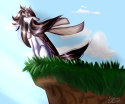 Size: 3000x2500 | Tagged: safe, artist:midnightdream123, oc, oc only, alicorn, pony, cliff, female, high res, mare, solo