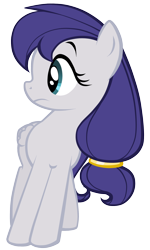 Size: 1226x2050 | Tagged: safe, artist:petraea, oc, oc only, oc:silverstorm, pegasus, pony, female, mare, simple background, solo, transparent background