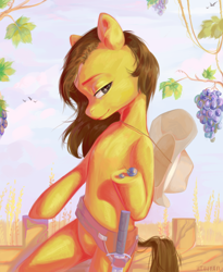 Size: 2160x2637 | Tagged: safe, artist:utauyan, oc, oc only, oc:radiant star, earth pony, pony, branches, cowboy, dagger, fence, food, grapes, hat, holster, leaves, male, solo, stallion, weapon, wheat field, ych result