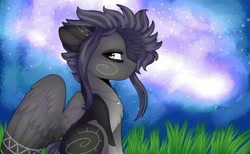 Size: 512x316 | Tagged: safe, artist:doux-ameri, oc, oc only, oc:kama, pegasus, pony, female, lowres, mare, night, solo