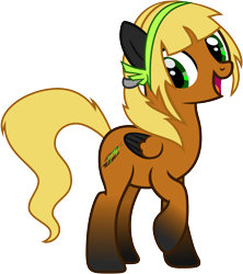 Size: 5010x5630 | Tagged: safe, artist:xboomdiersx, oc, oc only, oc:willow nymph, pegasus, pony, absurd resolution, female, mare, simple background, solo, transparent background, vector