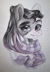 Size: 1384x1999 | Tagged: safe, artist:aphphphphp, oc, oc only, pony, bust, clothes, female, mare, pinto, portrait, scarf, solo, traditional art