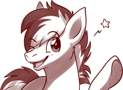 Size: 1017x748 | Tagged: safe, artist:fizzy-dog, oc, oc only, earth pony, pony, monochrome, one eye closed, solo, wink