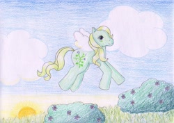 Size: 1024x723 | Tagged: safe, artist:normaleeinsane, morning glory, flutter pony, g1, solo, traditional art