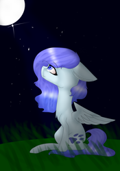 Size: 3500x5000 | Tagged: safe, artist:marinka27, oc, oc only, oc:star shine, pegasus, pony, female, high res, mare, night, sitting, solo