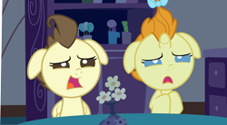 Size: 11224x6210 | Tagged: safe, screencap, pound cake, pumpkin cake, pony, baby cakes, absurd resolution, cake twins, do not want, floppy ears, reaction image, shocked, surprised, wat