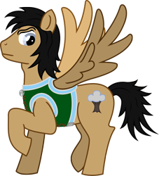 Size: 1102x1213 | Tagged: safe, artist:malte279, oc, oc only, oc:woodwinger, pegasus, pony, free to use, simple background, transparent background, vector