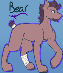 Size: 3120x3600 | Tagged: safe, artist:midnight-drip, oc, oc only, oc:bear jam, earth pony, pony, high res, male, offspring, parent:night guard, parent:pinkie pie, solo, stallion