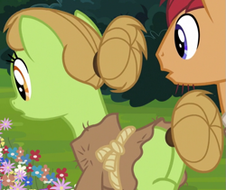 Size: 667x563 | Tagged: safe, screencap, earth pony, pony, campfire tales, clothes, cropped, duo, female, flower, hair bun, male, mare, plot, solo focus, stallion, tail bun, unnamed pony