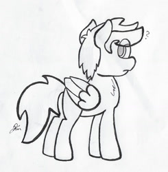 Size: 1015x1034 | Tagged: safe, artist:darius-101, oc, oc only, pegasus, pony, male, monochrome, solo, stallion