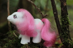 Size: 1024x683 | Tagged: safe, artist:flicksi, earth pony, pony, g1, baby ribbons and hearts, female, irl, photo, solo, toy