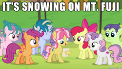 Size: 610x343 | Tagged: safe, apple bloom, cucumber seed, kettle corn, scootaloo, skeedaddle, sweetie belle, tulip swirl, pony, marks and recreation, colt, female, filly, game grumps, haiku, image macro, imgur, male, meme