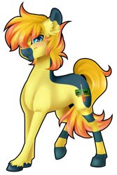 Size: 3344x5000 | Tagged: safe, artist:magicarin, oc, oc only, oc:yaktan, blue eyes, clothes, male, simple background, socks, stallion, transparent background