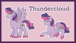 Size: 1024x586 | Tagged: safe, artist:bakufoon, pegasus, pony, g1, g1 to g4, generation leap, mountain boy ponies, solo, species swap, thundercloud (g1)