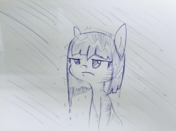 Size: 1607x1200 | Tagged: safe, artist:tjpones, oc, oc only, earth pony, pony, inktober, monochrome, rain, solo, traditional art, wet mane