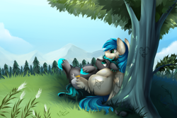 Size: 4117x2757 | Tagged: safe, artist:pridark, oc, oc only, oc:rain runner, oc:star, pegasus, pony, absurd resolution, against tree, commission, cute, forest, gay, grass, lying, male, mountain, on back, outdoors, pine tree, relaxing, scenery, smiling, stallion, tree, tree carving, under the tree