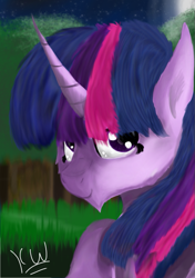 Size: 705x1000 | Tagged: safe, artist:zeezou2, twilight sparkle, pony, female, grass, mare, moon, night, signature, solo, stars, tree