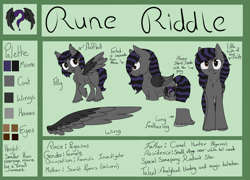 Size: 1024x737 | Tagged: safe, artist:chezamoon18, oc, oc only, oc:rune riddle, pegasus, pony, cutie mark, female, mare, reference sheet, text, unshorn fetlocks, wings