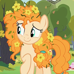 Size: 482x482 | Tagged: safe, screencap, pear butter, earth pony, pony, the perfect pear, boomerang (tv channel), cropped, cute, female, flower, flower in hair, happy, mare, messy hair, pearabetes, raised hoof, smiling, solo