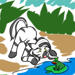 Size: 1000x1000 | Tagged: safe, artist:b-i-r, oc, oc only, oc:ceres, frog, zebra, ass up, female, golden eyes, lilypad, mare, water