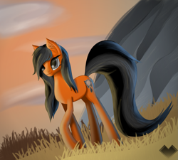 Size: 1683x1512 | Tagged: safe, artist:sugarypolecat, oc, oc only, oc:waffle, earth pony, pony, female, mare, solo