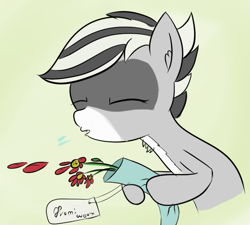 Size: 705x634 | Tagged: safe, artist:rusticanon, oc, oc only, oc:bandy cyoot, pony, allergic reaction, allergies, flower, gift card, simple background, sneezing, solo