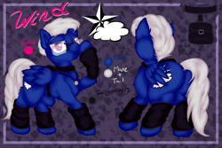 Size: 1584x1056 | Tagged: safe, artist:frist44, oc, oc only, oc:wind, pegasus, pony, backpack, cloud, cutie mark, dock, glasses, leg warmers, looking at you, male, plot, raised hoof, raised leg, reference sheet, smiling, solo, stallion, stars