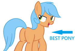 Size: 1062x720 | Tagged: safe, oc, oc only, oc:文毛, earth pony, pony, best pony, blank flank, looking back, plot, smiling, solo