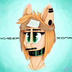 Size: 3000x2981 | Tagged: safe, artist:ivanmidnight, pony, collar, cyrillic, gift art, green eyes, head, note, piercing, russian, stylus