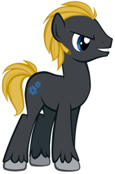 Size: 1024x1555 | Tagged: safe, artist:petraea, oc, oc only, oc:zeth, earth pony, pony, male, simple background, solo, stallion, transparent background, vector