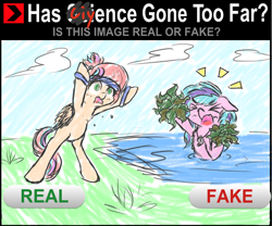 Size: 1000x833 | Tagged: safe, artist:pich-un, oc, oc only, oc:sweet skies, oc:swirly shells, pony, armpits, has science gone too far?, meme, real or fake