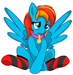 Size: 1827x1877 | Tagged: safe, artist:x-blackpearl-x, oc, oc only, oc:seafeather, pegasus, pony, clothes, collar, female, shy, simple background, socks, solo, spread wings, striped socks, transparent background, wingboner, wings