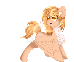 Size: 1024x860 | Tagged: safe, artist:little-sketches, oc, oc only, oc:feather flower, pegasus, pony, chest fluff, colored pupils, eye clipping through hair, female, fluffy, mare, simple background, solo, transparent background, watermark, wyvernous pegasus