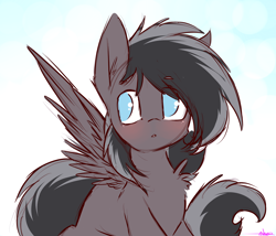 Size: 2530x2162 | Tagged: safe, artist:ashee, oc, oc only, oc:shadow, pegasus, pony, blue eyes, blushing, cute, male, simple background, sketch, solo, wings