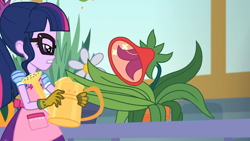 Size: 1920x1080 | Tagged: safe, screencap, sci-twi, twilight sparkle, better together, equestria girls, my little shop of horrors, clothes, flower, glasses, gloves, plant, potted plant, watering can