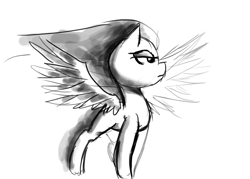 Size: 2100x1500 | Tagged: safe, pegasus, pony, grayscale, monochrome, sketch, solo