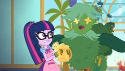 Size: 1920x1080 | Tagged: safe, screencap, sci-twi, twilight sparkle, better together, equestria girls, my little shop of horrors, apron, celestia's house, clothes, flower, glasses, gloves, plant, room to grow, watering can