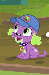 Size: 466x720 | Tagged: safe, screencap, spike, spike the regular dog, dog, equestria girls, legend of everfree, cap, cropped, hat, looking up, solo, solo focus