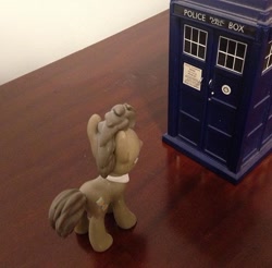 Size: 640x629 | Tagged: safe, doctor whooves, pony, doctor who, irl, male, photo, stallion, tardis, toy