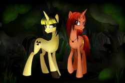 Size: 1280x855 | Tagged: safe, artist:aurorapolaris-93, oc, oc only, oc:fayra, oc:nartira, pony, unicorn, female, mare