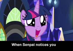 Size: 1280x899 | Tagged: safe, twilight sparkle, twilight sparkle (alicorn), alicorn, shadow play, adorkable, cute, dork, image macro, meme, senpai noticed me, twiabetes